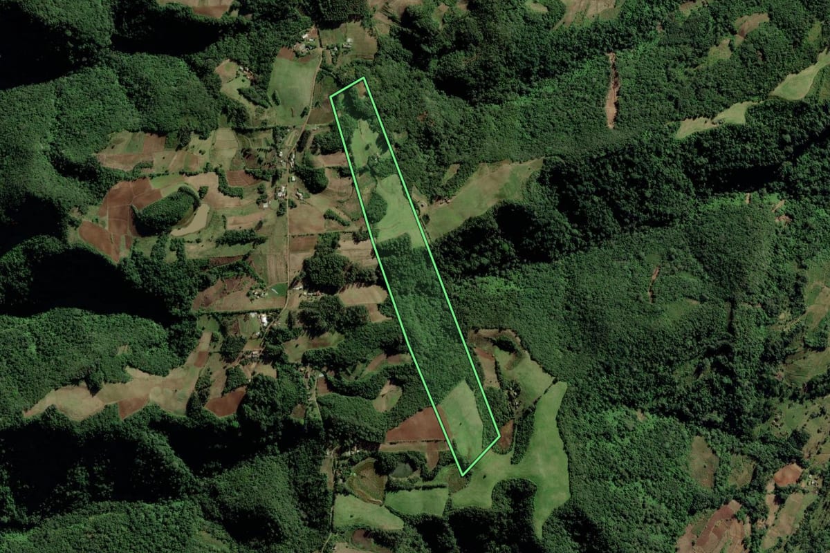 Imagem de satélite do imóvel rural em Candelária (RS), com o contorno declarado no CAR desenhado por cima.