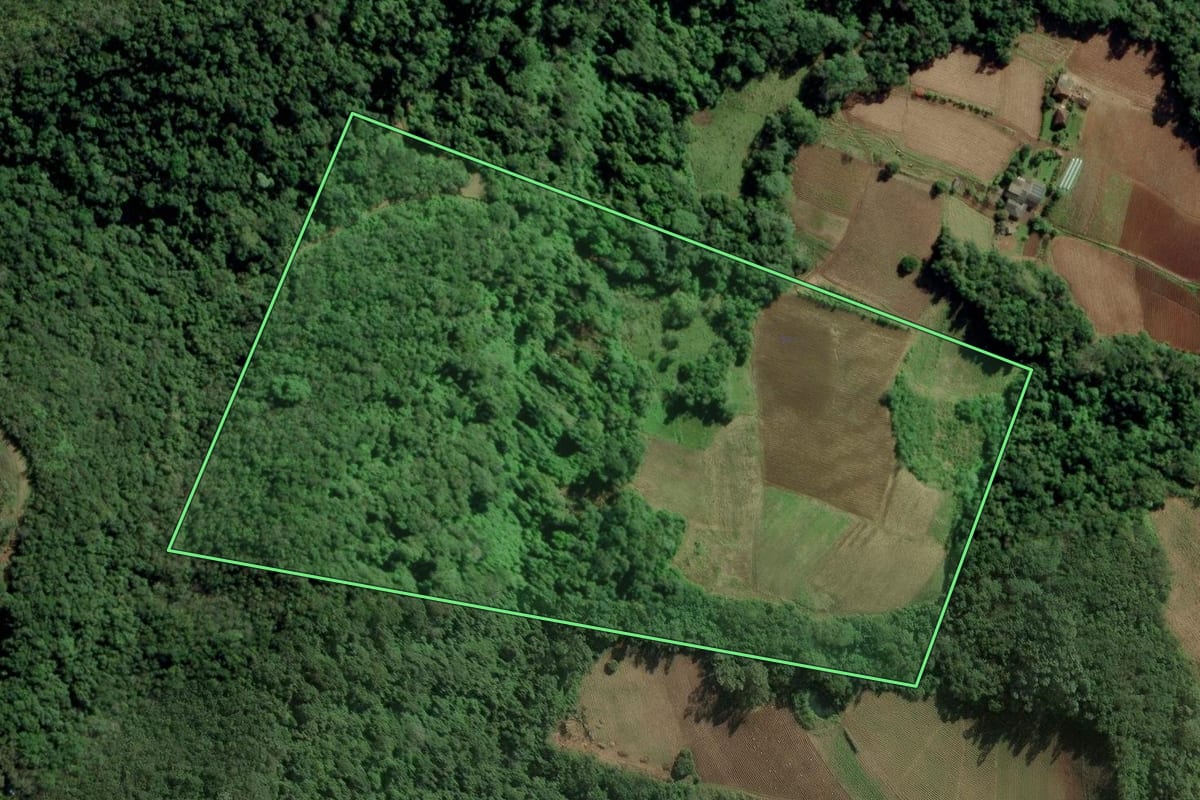 Imagem de satélite do imóvel rural em Candelária (RS), com o contorno declarado no CAR desenhado por cima.