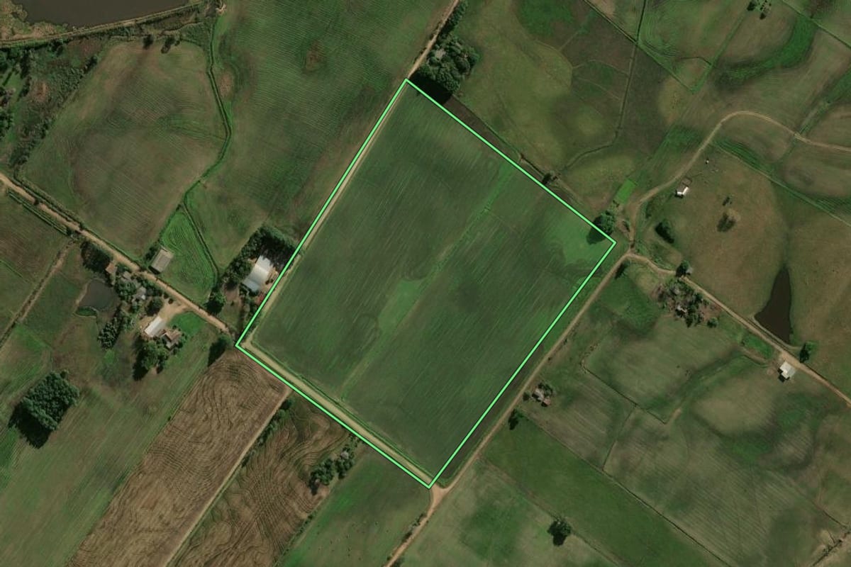 Imagem de satélite do imóvel rural em Candelária (RS), com o contorno declarado no CAR desenhado por cima.