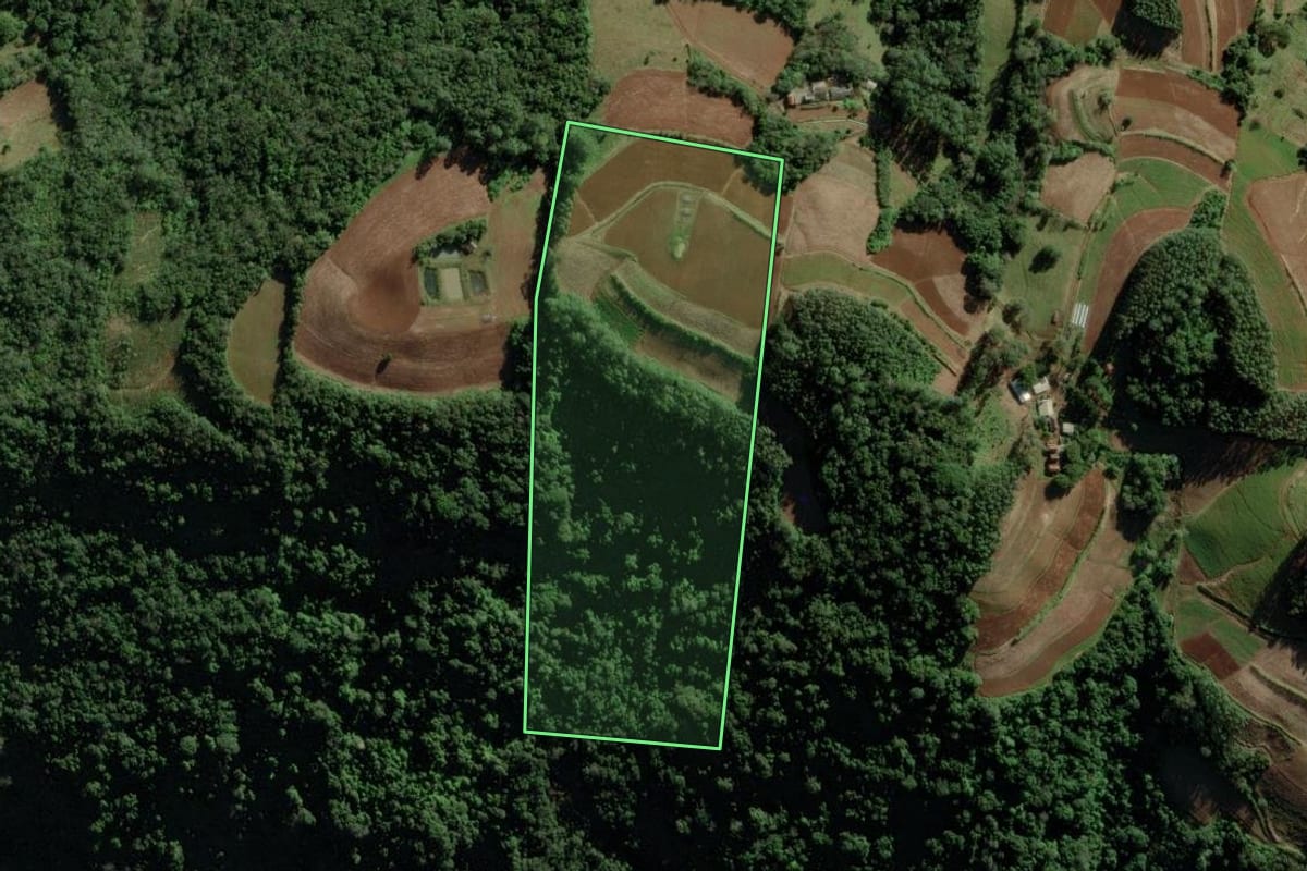 Imagem de satélite do imóvel rural em Candelária (RS), com o contorno declarado no CAR desenhado por cima.