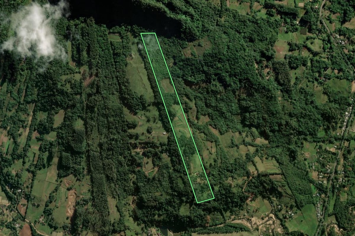 Imagem de satélite do imóvel rural em Candelária (RS), com o contorno declarado no CAR desenhado por cima.