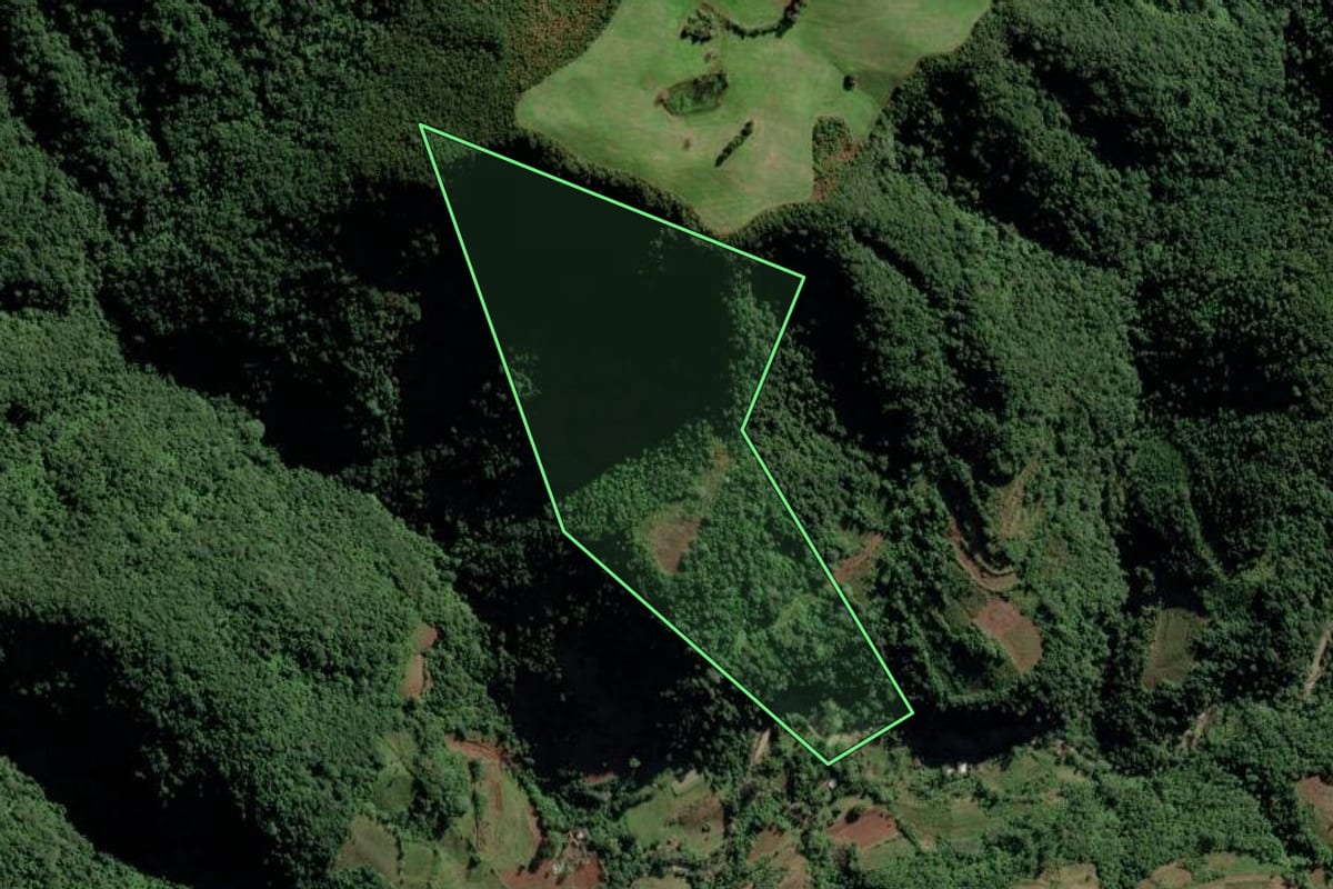 Imagem de satélite do imóvel rural em Candelária (RS), com o contorno declarado no CAR desenhado por cima.