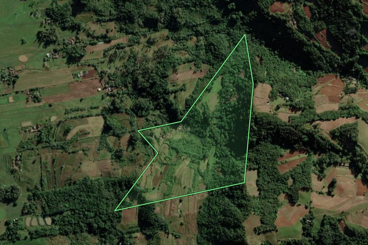 Imagem de satélite do imóvel rural em Candelária (RS), com o contorno declarado no CAR desenhado por cima.