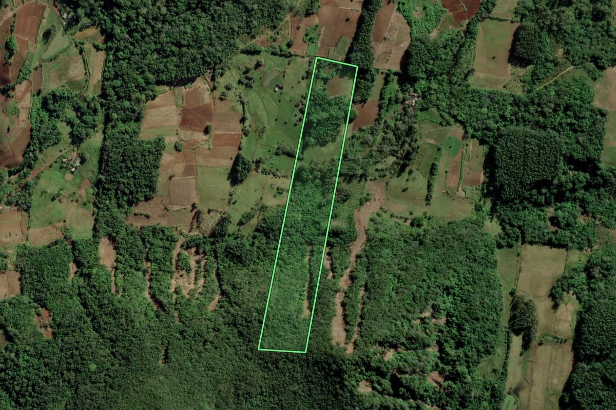 Imagem de satélite do imóvel rural em Candelária (RS), com o contorno declarado no CAR desenhado por cima.