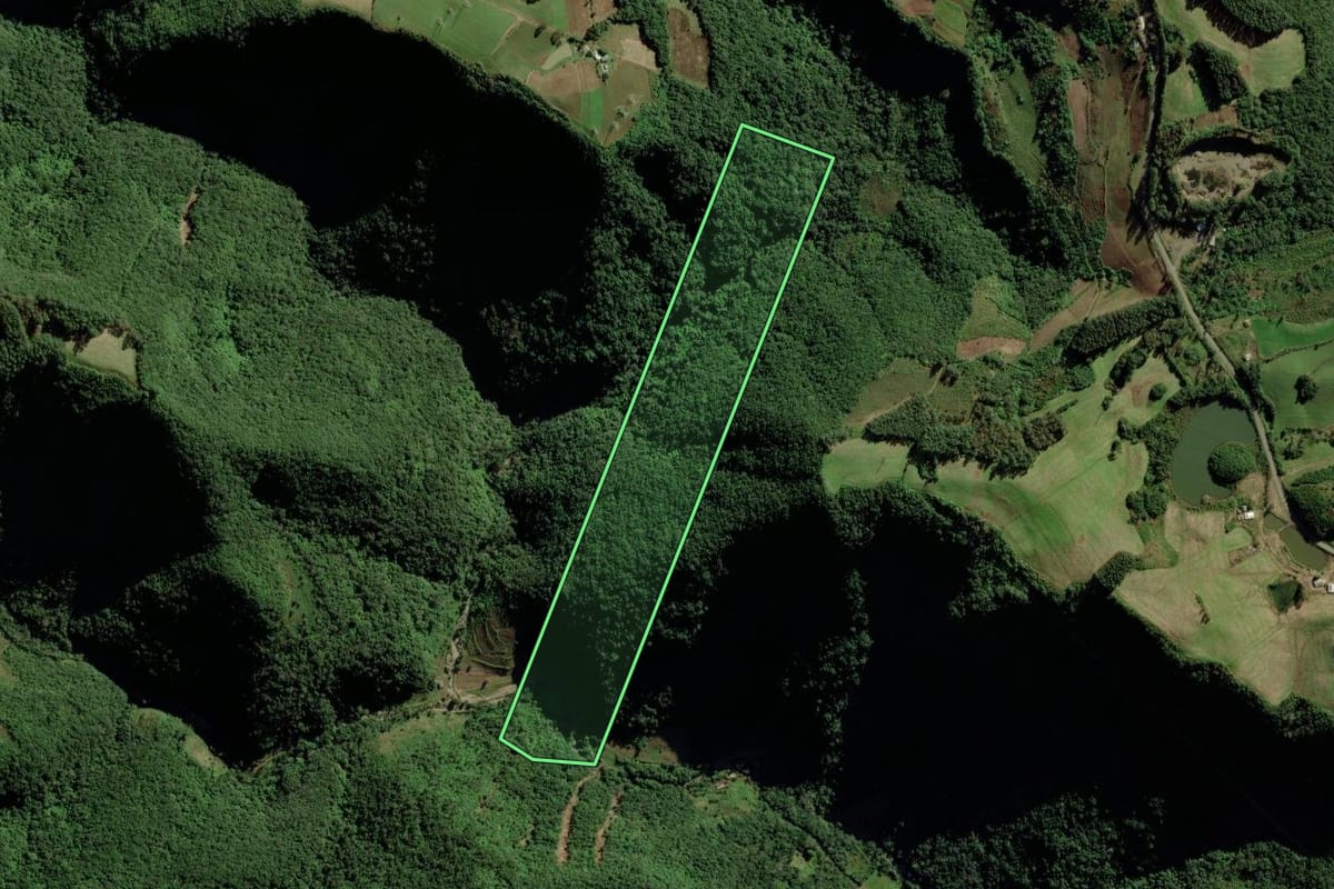 Imagem de satélite do imóvel rural em Candelária (RS), com o contorno declarado no CAR desenhado por cima.