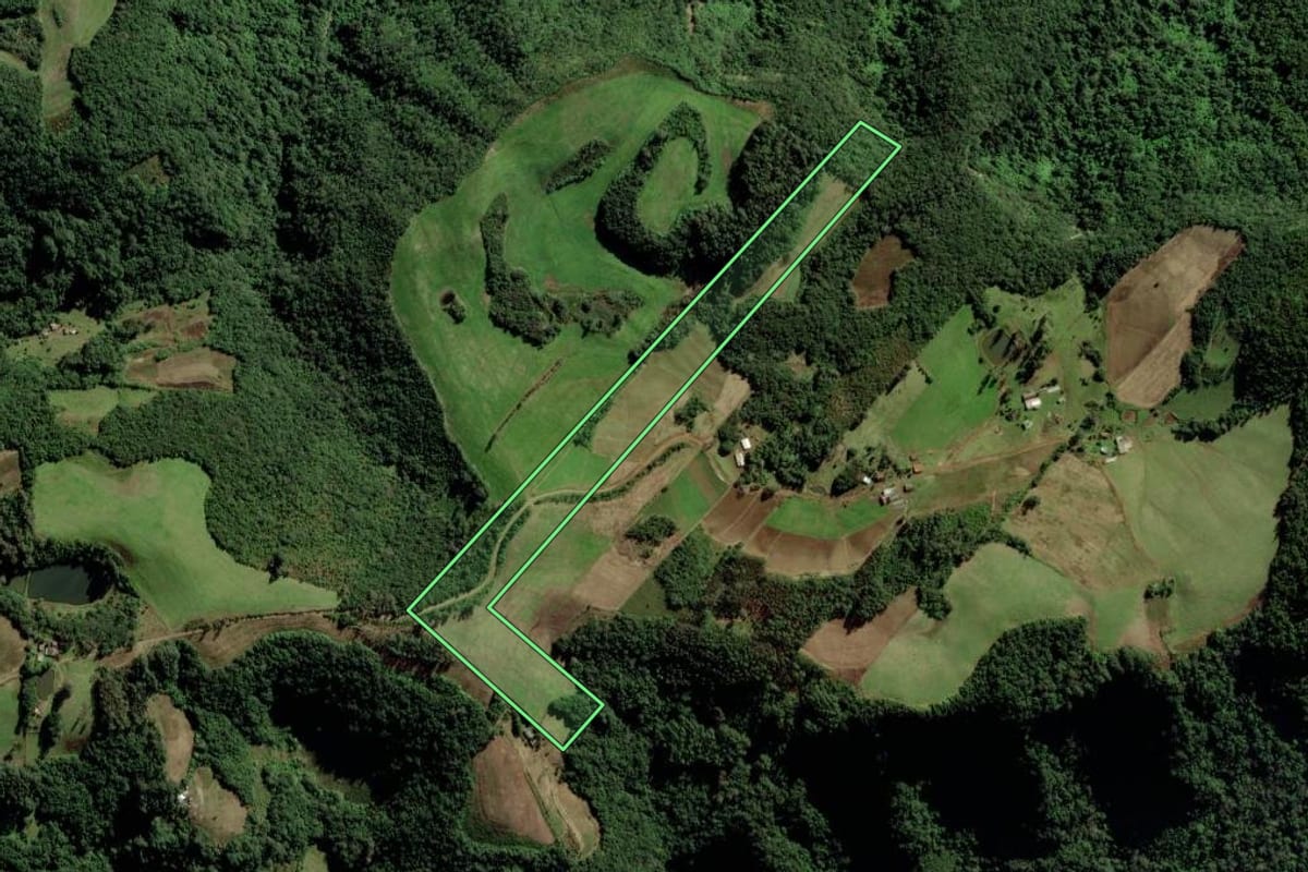 Imagem de satélite do imóvel rural em Candelária (RS), com o contorno declarado no CAR desenhado por cima.