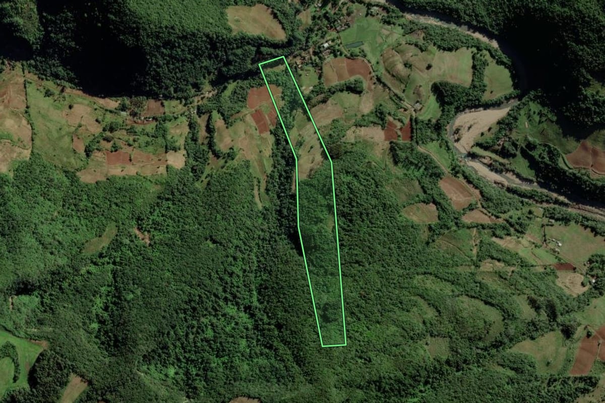 Imagem de satélite do imóvel rural em Candelária (RS), com o contorno declarado no CAR desenhado por cima.