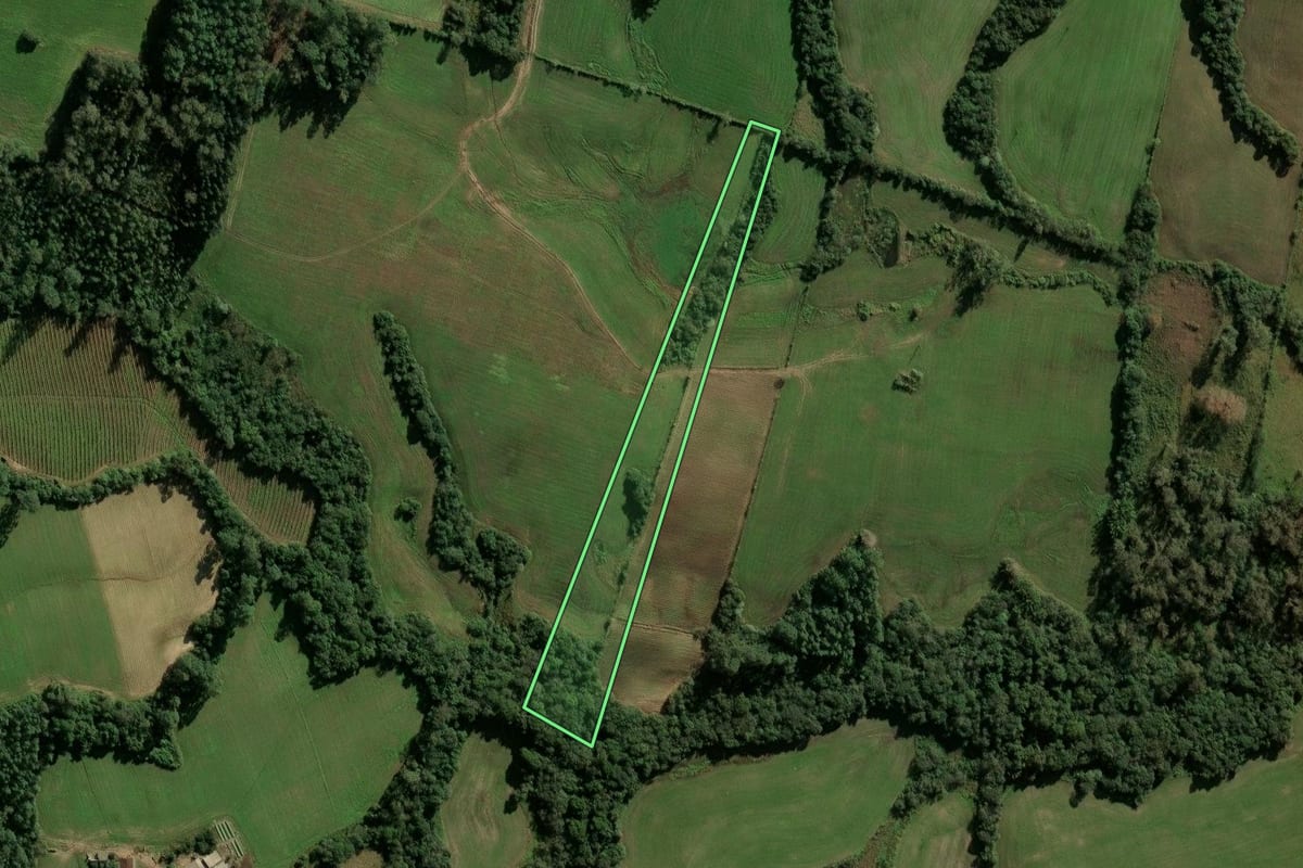 Imagem de satélite do imóvel rural em Candelária (RS), com o contorno declarado no CAR desenhado por cima.