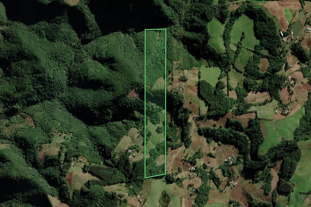 Imagem de satélite do imóvel rural em Candelária (RS), com o contorno declarado no CAR desenhado por cima.