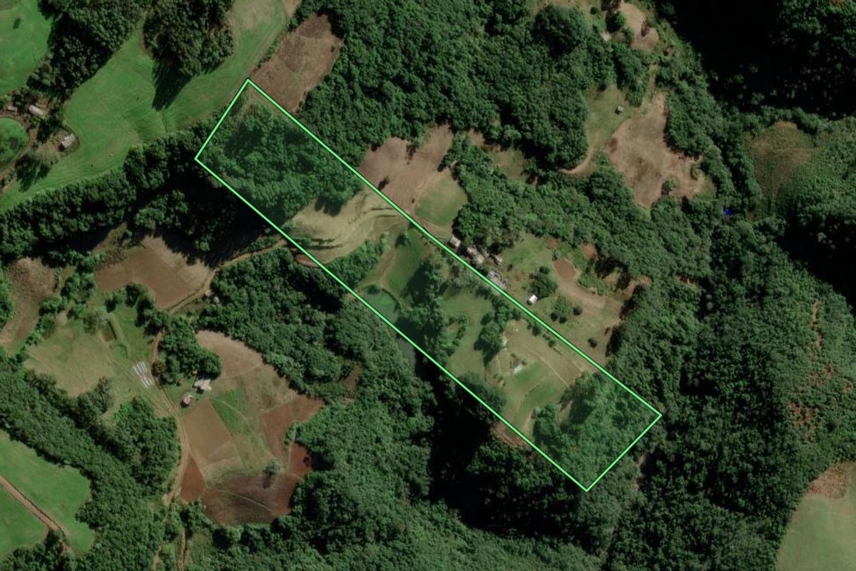 Imagem de satélite do imóvel rural em Candelária (RS), com o contorno declarado no CAR desenhado por cima.
