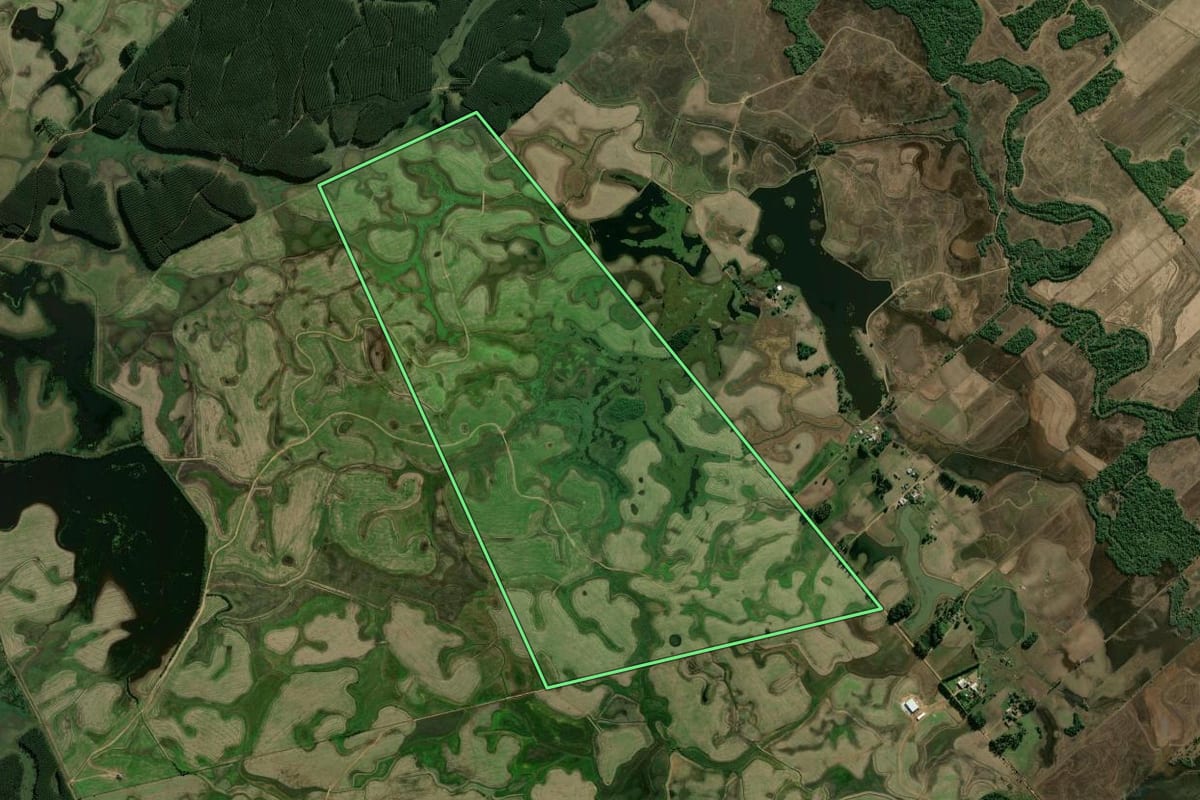 Imagem de satélite do imóvel rural em Candelária (RS), com o contorno declarado no CAR desenhado por cima.