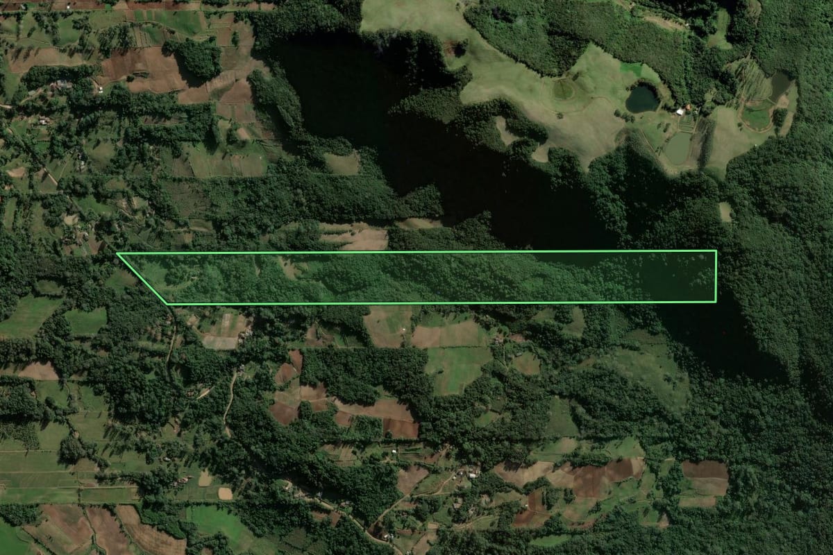 Imagem de satélite do imóvel rural em Candelária (RS), com o contorno declarado no CAR desenhado por cima.