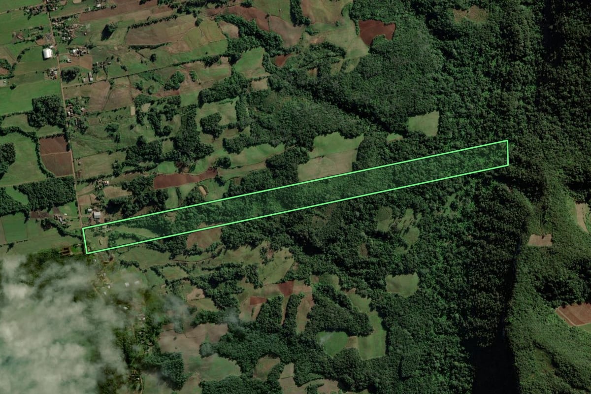 Imagem de satélite do imóvel rural em Candelária (RS), com o contorno declarado no CAR desenhado por cima.