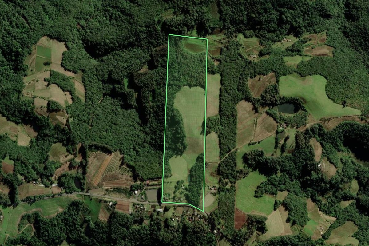 Imagem de satélite do imóvel rural em Candelária (RS), com o contorno declarado no CAR desenhado por cima.