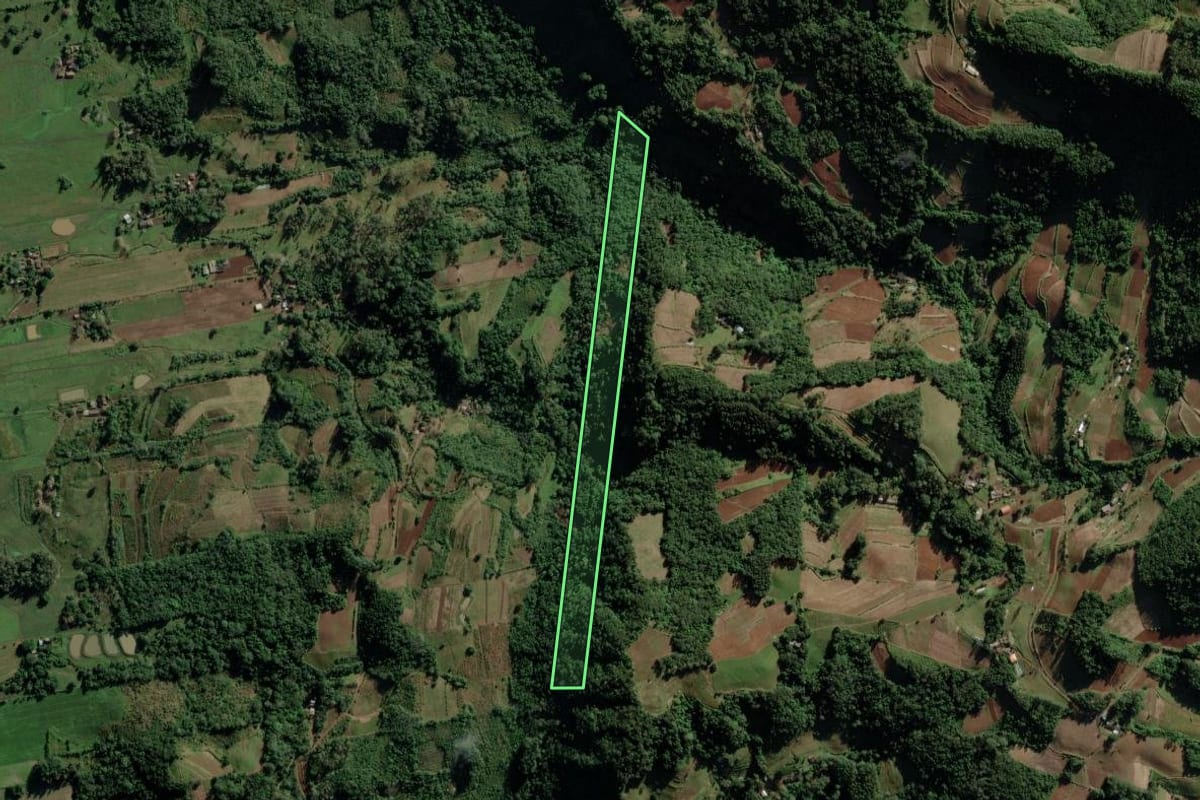 Imagem de satélite do imóvel rural em Candelária (RS), com o contorno declarado no CAR desenhado por cima.