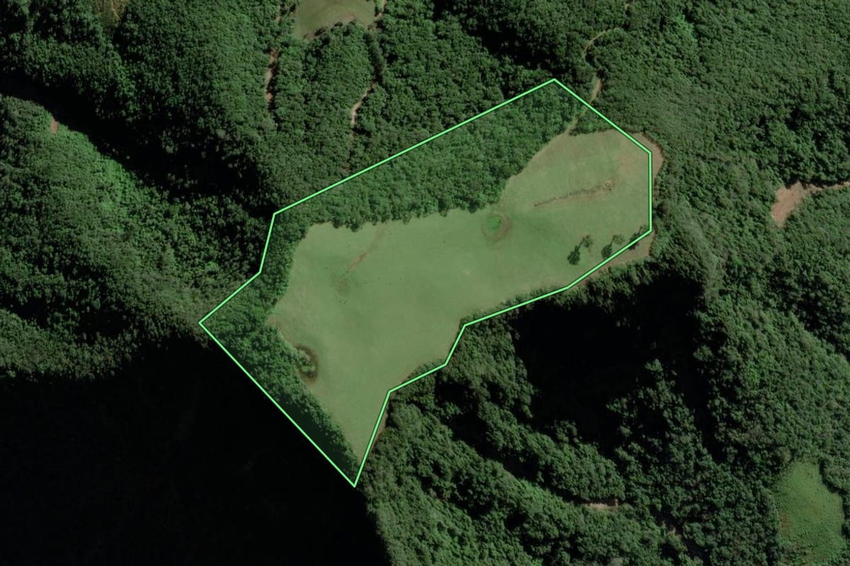 Imagem de satélite do imóvel rural em Candelária (RS), com o contorno declarado no CAR desenhado por cima.