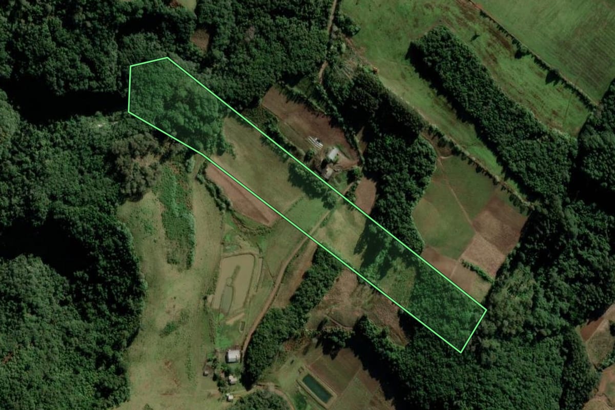 Imagem de satélite do imóvel rural em Candelária (RS), com o contorno declarado no CAR desenhado por cima.