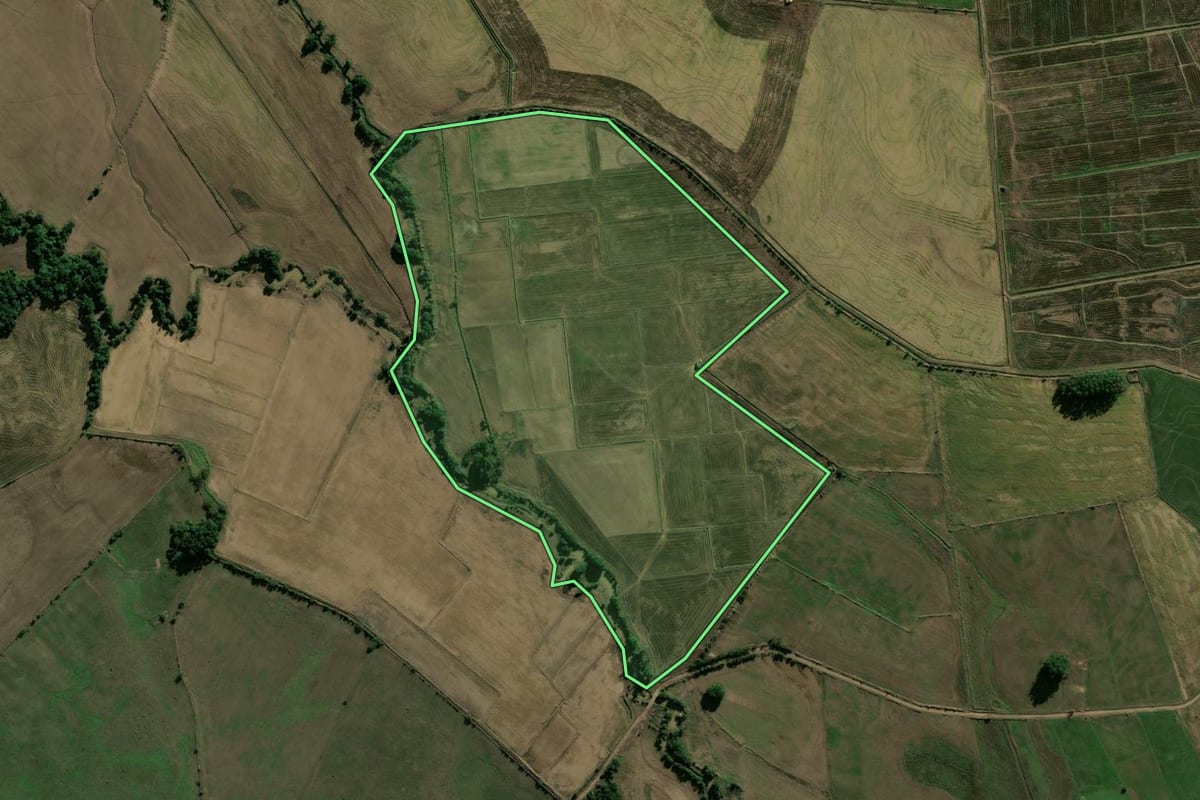 Imagem de satélite do imóvel rural em Candelária (RS), com o contorno declarado no CAR desenhado por cima.