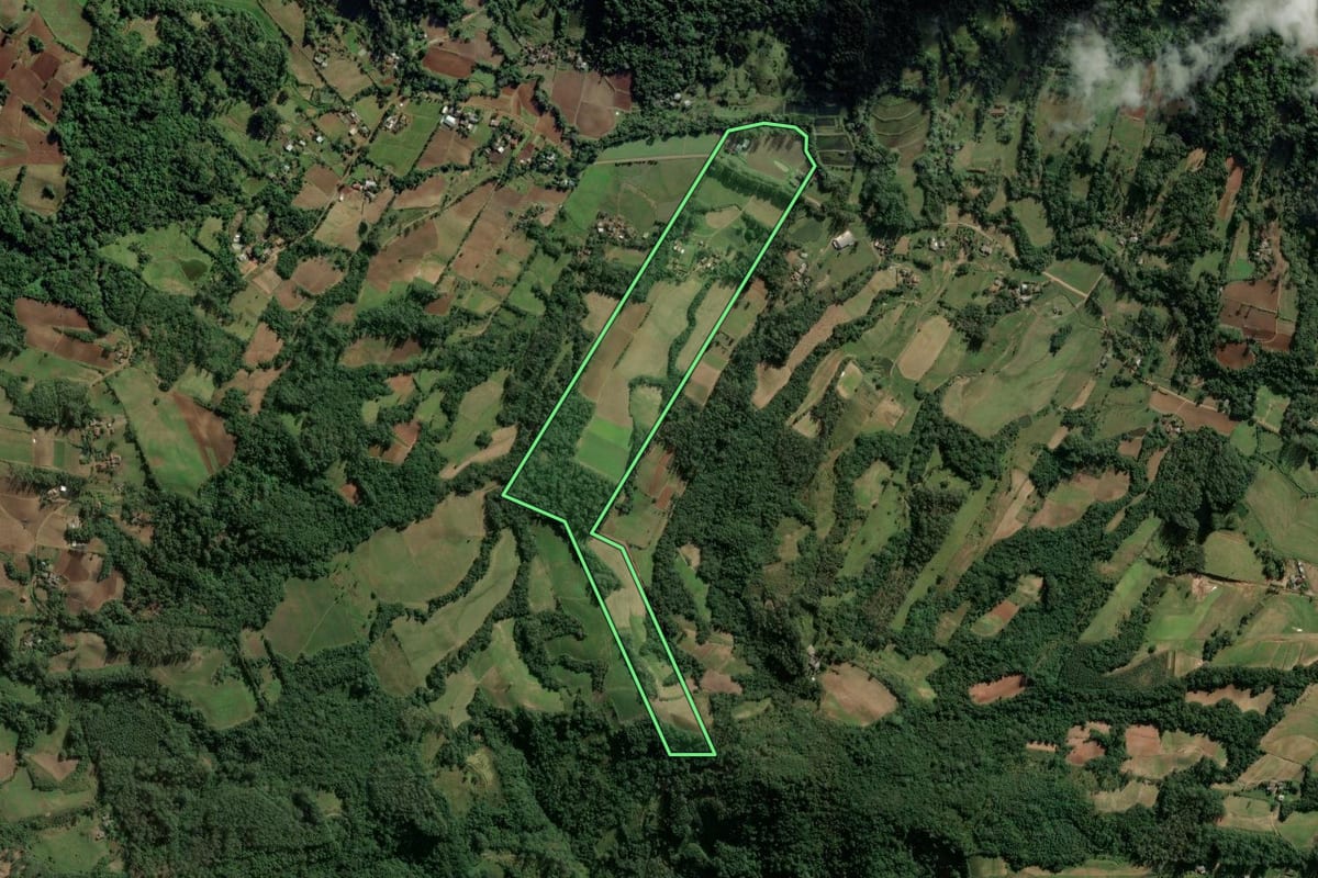 Imagem de satélite do imóvel rural em Candelária (RS), com o contorno declarado no CAR desenhado por cima.