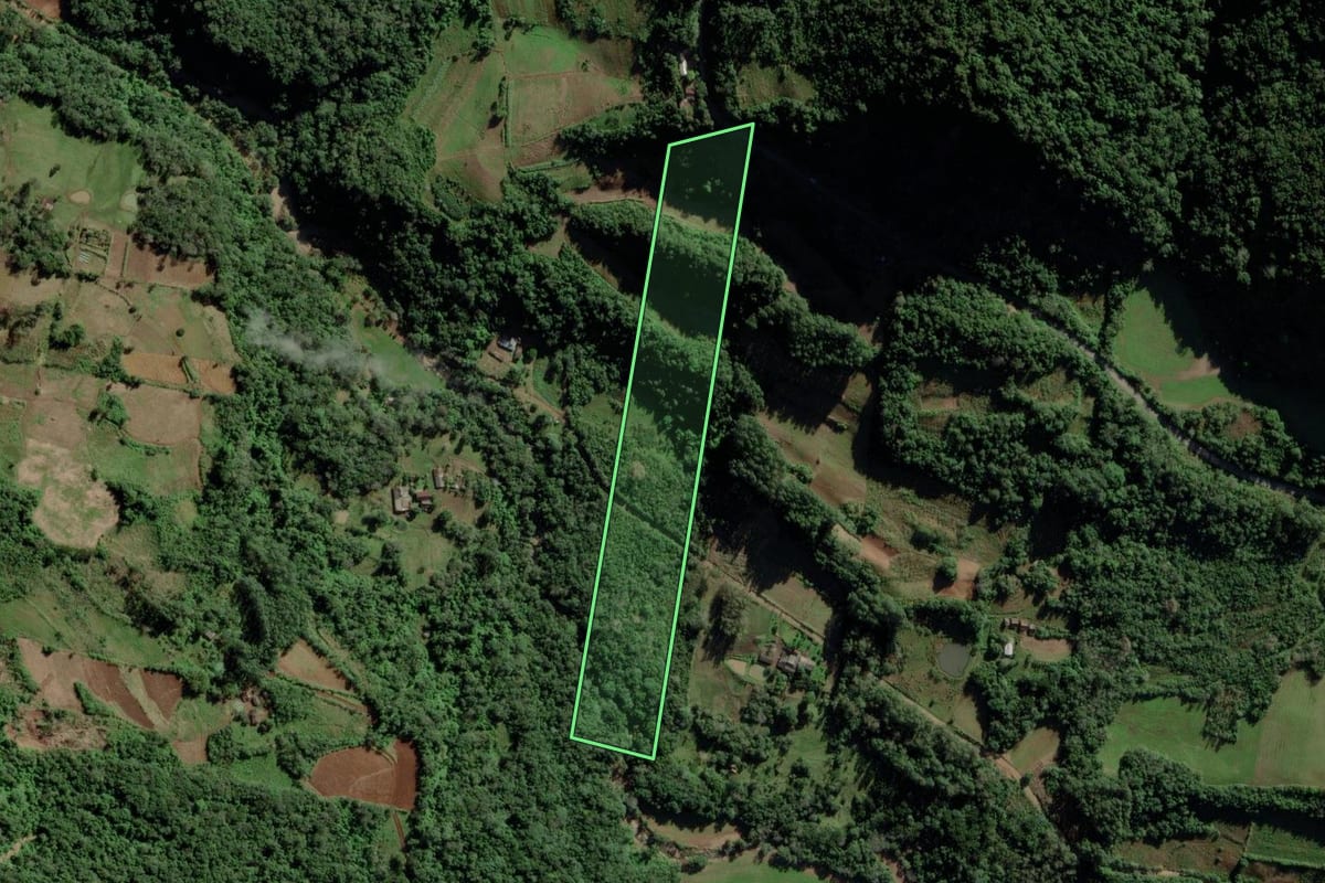 Imagem de satélite do imóvel rural em Candelária (RS), com o contorno declarado no CAR desenhado por cima.