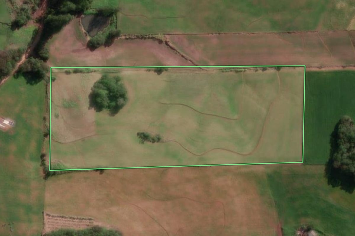 Imagem de satélite do imóvel rural em Cândido Godói (RS), com o contorno declarado no CAR desenhado por cima.