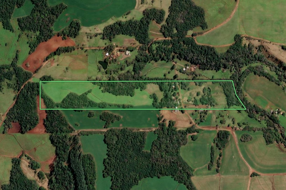 Imagem de satélite do imóvel rural em Cândido Godói (RS), com o contorno declarado no CAR desenhado por cima.