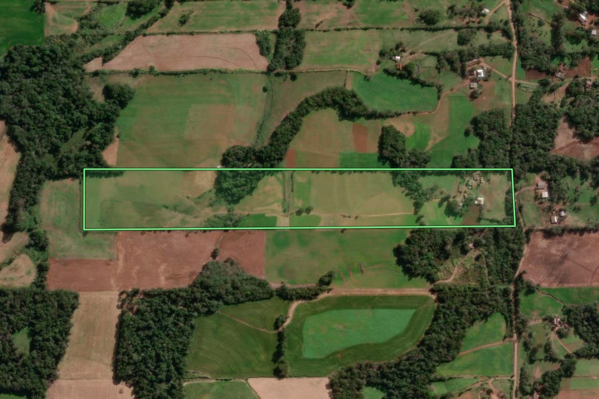 Imagem de satélite do imóvel rural em Cândido Godói (RS), com o contorno declarado no CAR desenhado por cima.