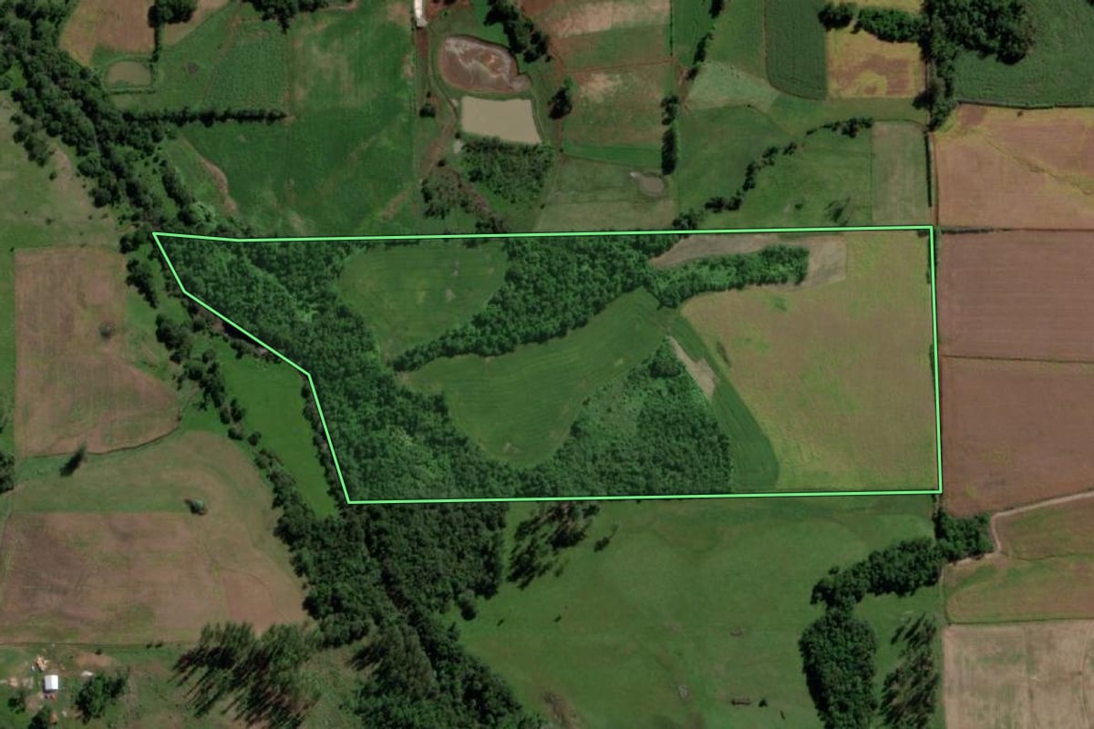 Imagem de satélite do imóvel rural em Cândido Godói (RS), com o contorno declarado no CAR desenhado por cima.