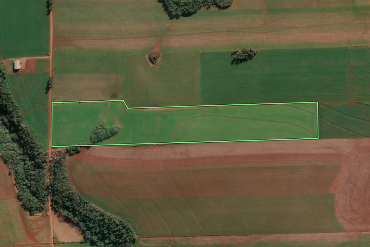 Imagem de satélite do imóvel rural em Cândido Godói (RS), com o contorno declarado no CAR desenhado por cima.