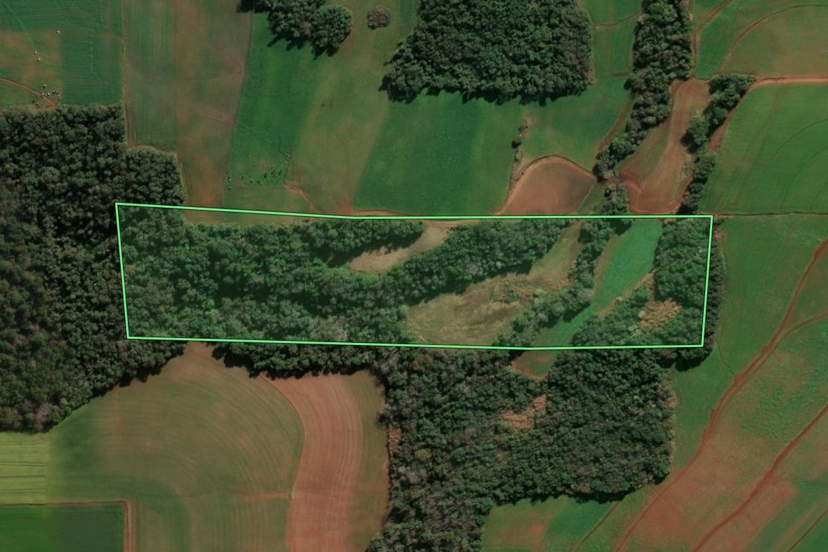Imagem de satélite do imóvel rural em Cândido Godói (RS), com o contorno declarado no CAR desenhado por cima.