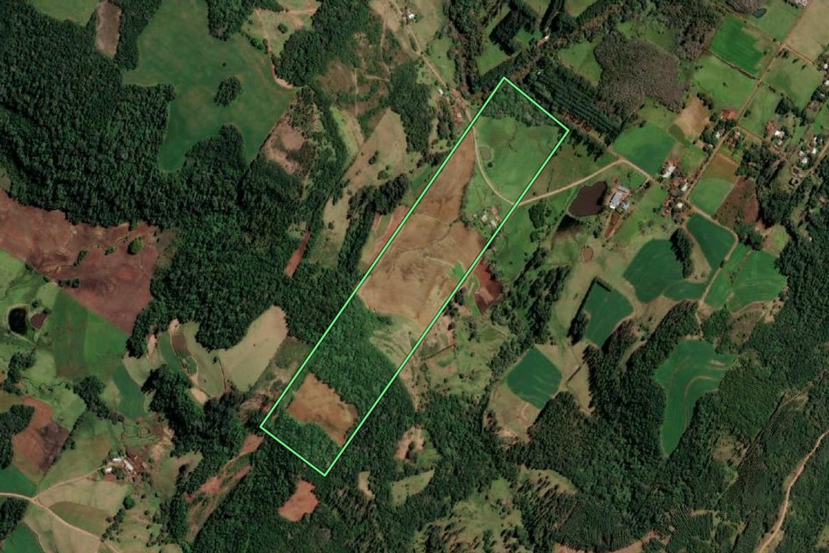 Imagem de satélite do imóvel rural em Cândido Godói (RS), com o contorno declarado no CAR desenhado por cima.