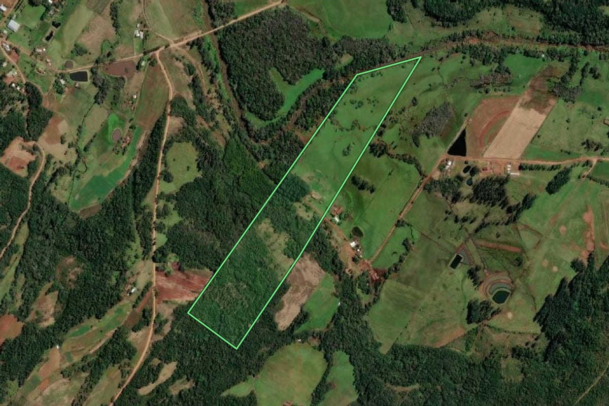Imagem de satélite do imóvel rural em Cândido Godói (RS), com o contorno declarado no CAR desenhado por cima.