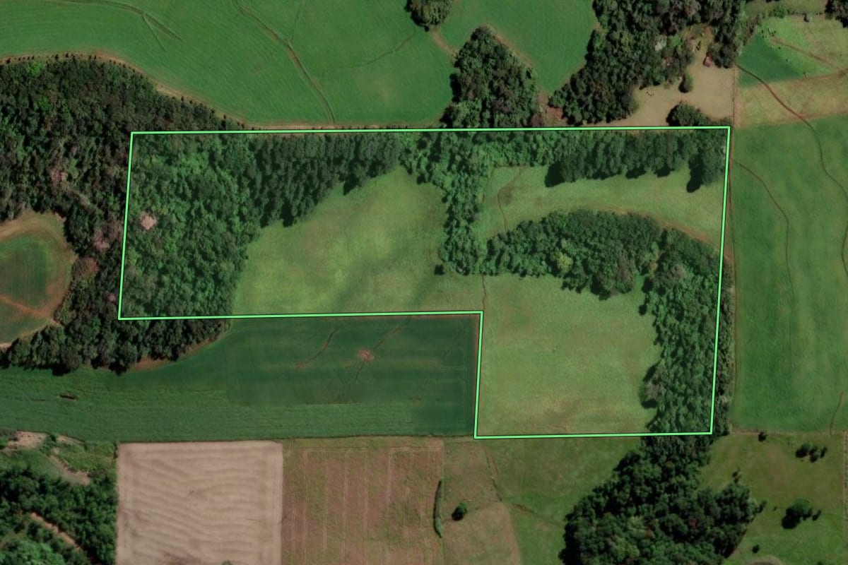 Imagem de satélite do imóvel rural em Cândido Godói (RS), com o contorno declarado no CAR desenhado por cima.
