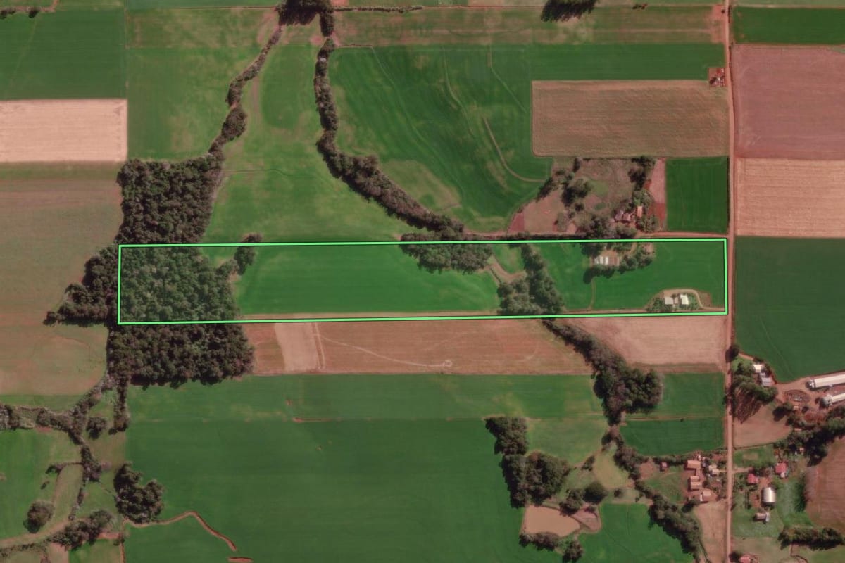 Imagem de satélite do imóvel rural em Cândido Godói (RS), com o contorno declarado no CAR desenhado por cima.