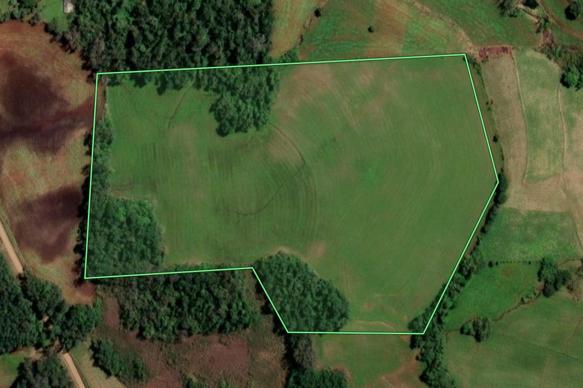 Imagem de satélite do imóvel rural em Cândido Godói (RS), com o contorno declarado no CAR desenhado por cima.