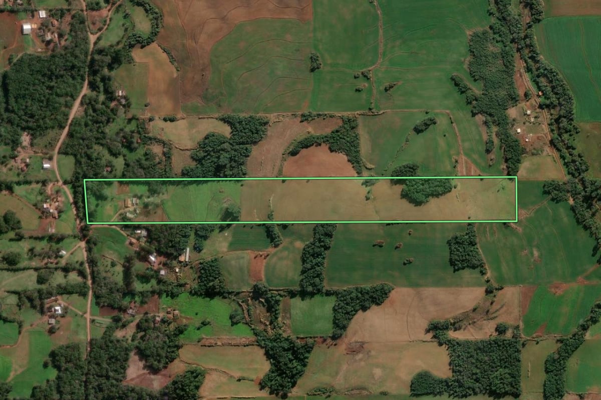 Imagem de satélite do imóvel rural em Cândido Godói (RS), com o contorno declarado no CAR desenhado por cima.