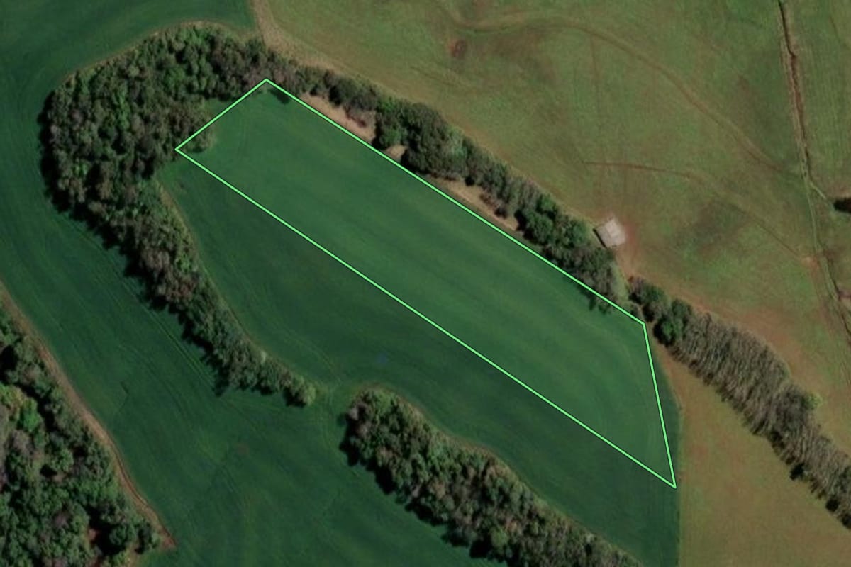 Imagem de satélite do imóvel rural em Cândido Godói (RS), com o contorno declarado no CAR desenhado por cima.