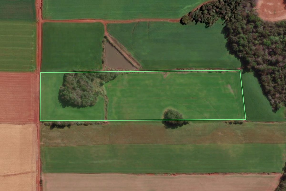 Imagem de satélite do imóvel rural em Cândido Godói (RS), com o contorno declarado no CAR desenhado por cima.