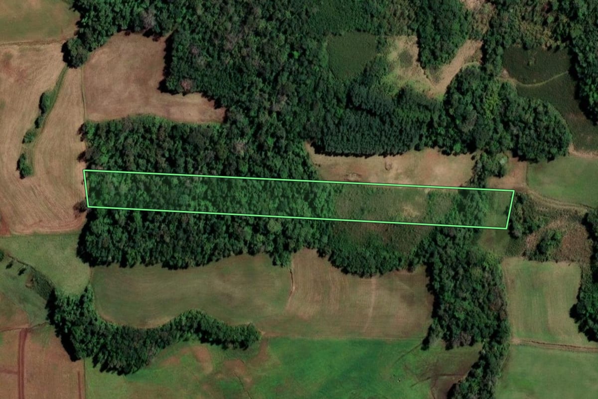 Imagem de satélite do imóvel rural em Cândido Godói (RS), com o contorno declarado no CAR desenhado por cima.
