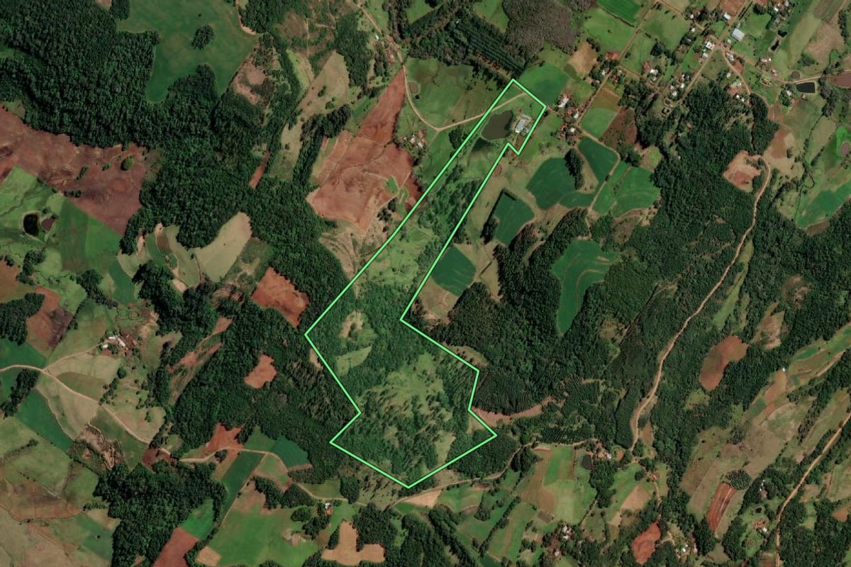 Imagem de satélite do imóvel rural em Cândido Godói (RS), com o contorno declarado no CAR desenhado por cima.