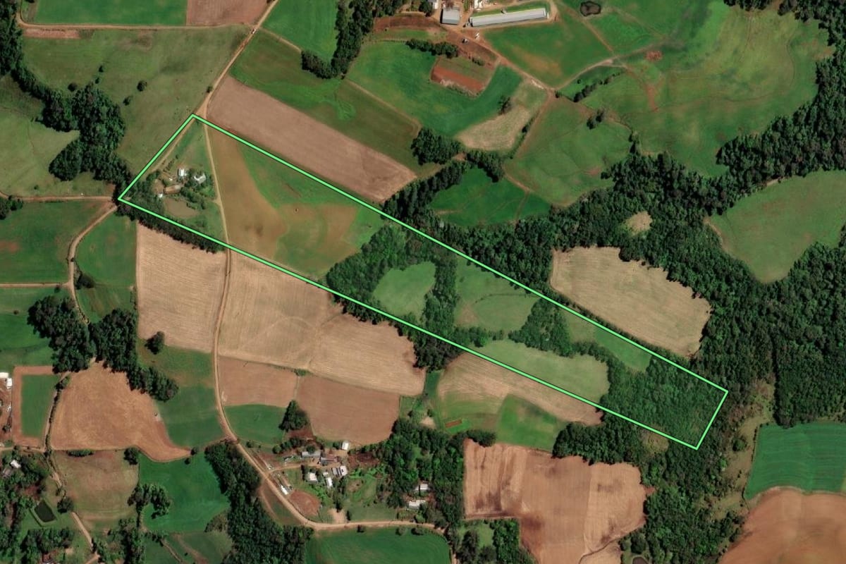 Imagem de satélite do imóvel rural em Cândido Godói (RS), com o contorno declarado no CAR desenhado por cima.