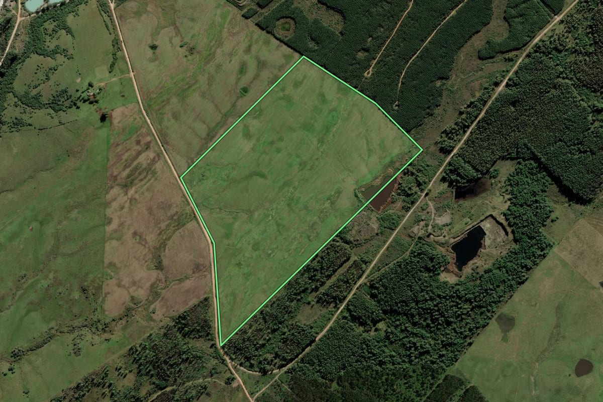 Imagem de satélite do imóvel rural em Candiota (RS), com o contorno declarado no CAR desenhado por cima.