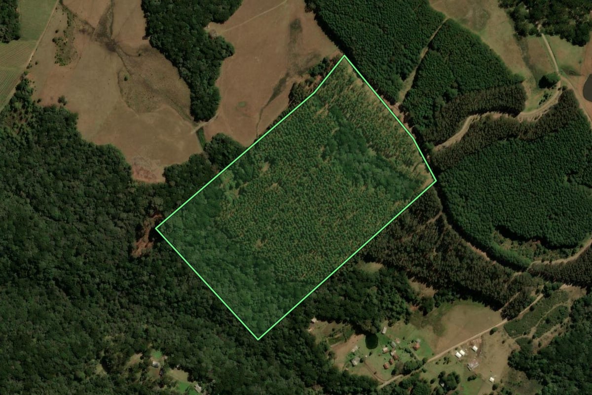 Imagem de satélite do imóvel rural em Canela (RS), com o contorno declarado no CAR desenhado por cima.