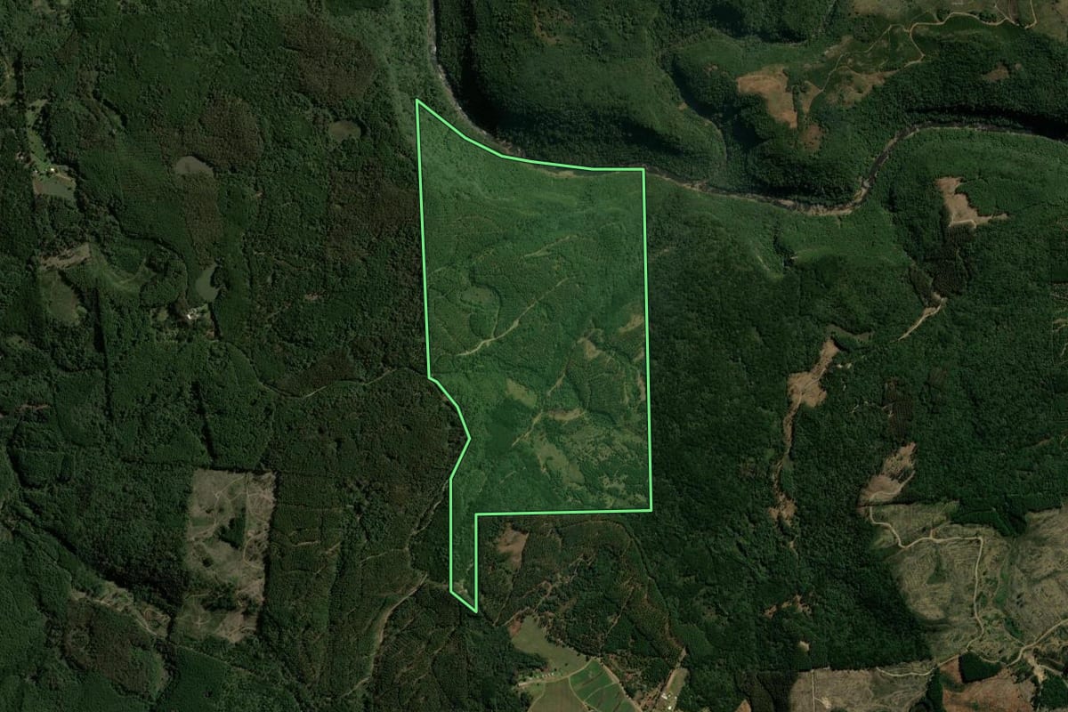 Imagem de satélite do imóvel rural em Canela (RS), com o contorno declarado no CAR desenhado por cima.