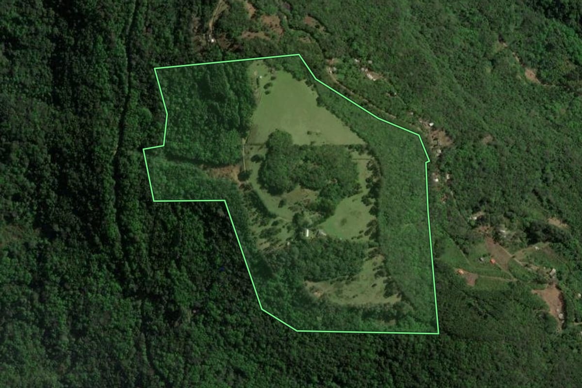 Imagem de satélite do imóvel rural em Canela (RS), com o contorno declarado no CAR desenhado por cima.