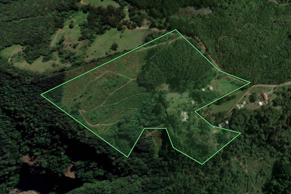 Imagem de satélite do imóvel rural em Canela (RS), com o contorno declarado no CAR desenhado por cima.