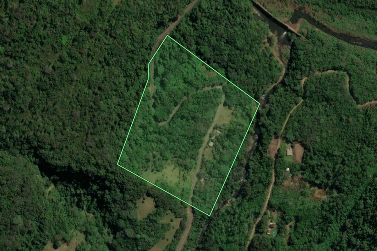 Imagem de satélite do imóvel rural em Canela (RS), com o contorno declarado no CAR desenhado por cima.
