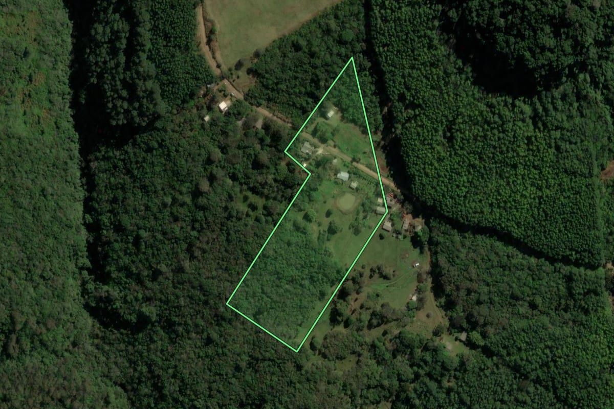 Imagem de satélite do imóvel rural em Canela (RS), com o contorno declarado no CAR desenhado por cima.