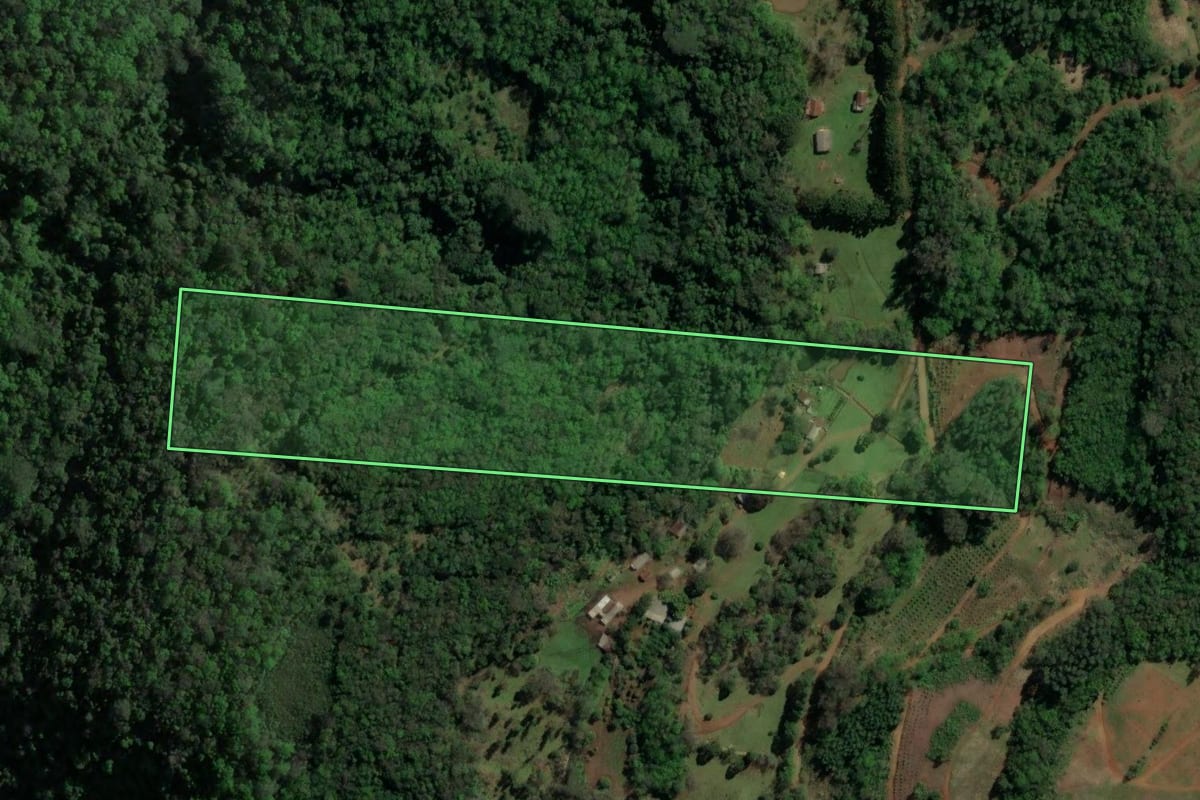 Imagem de satélite do imóvel rural em Canela (RS), com o contorno declarado no CAR desenhado por cima.