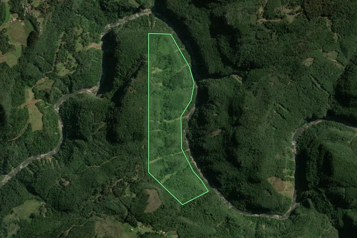 Imagem de satélite do imóvel rural em Canela (RS), com o contorno declarado no CAR desenhado por cima.